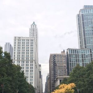 Meet your Posher, Molly